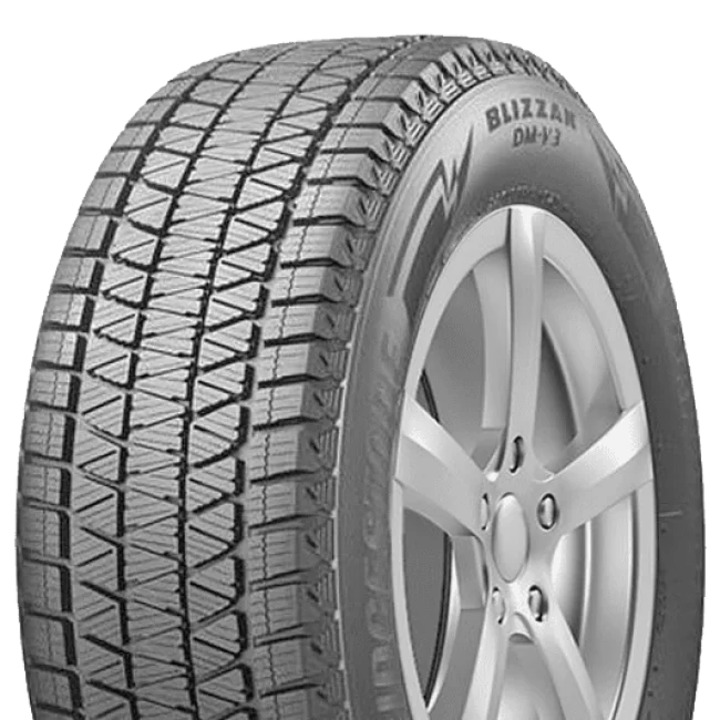 Blizzak DM-V3