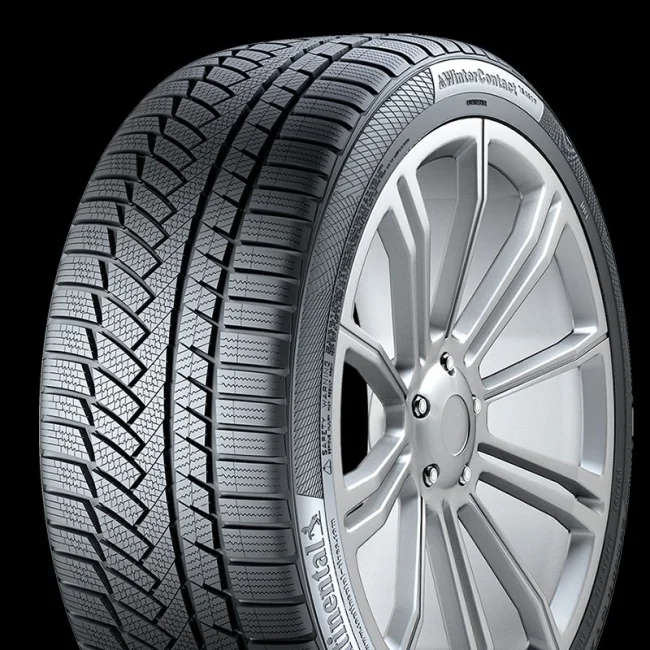 WINTERCONTACT TS 850P