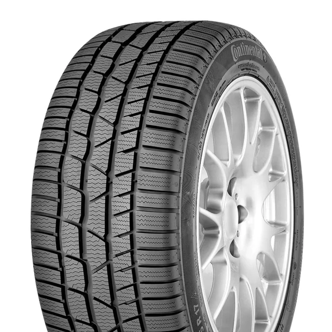 WINTERCONTACT TS830P