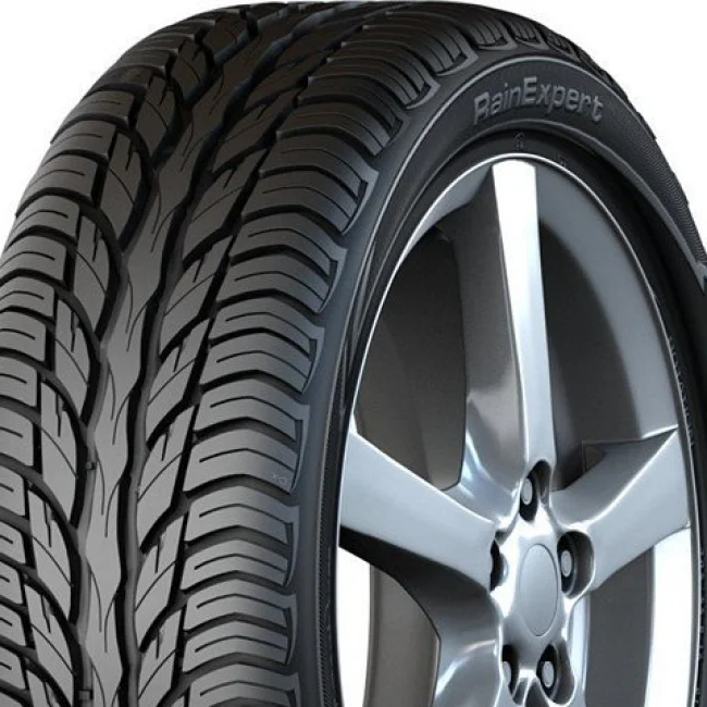 RainExpert